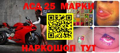 спиды Кандалакша