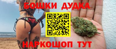 jwh Кингисепп