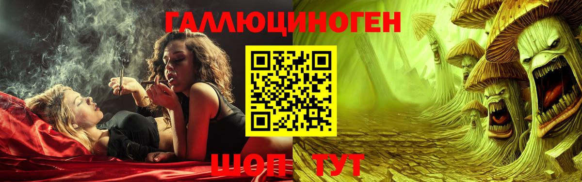 Кудрово  Псилоцибиновые грибы прущие грибы  Вход с VPN 