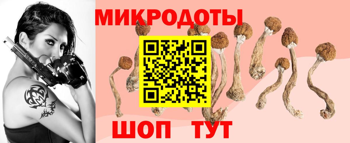 Псилоцибиновые грибы ЛСД Кудрово